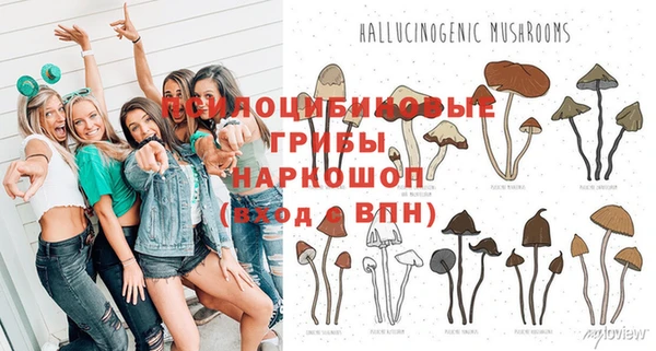 хмурый Алексеевка