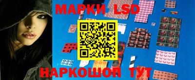 ПСИЛОЦИБИНОВЫЕ ГРИБЫ Гусев