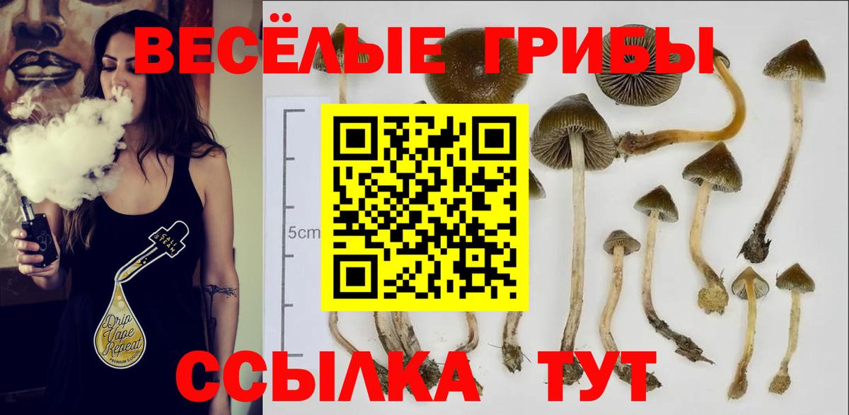 Норильск  Псилоцибиновые грибы MAGIC MUSHROOMS  Псилоцибиновые грибы Psilocybe  Вход с VPN 